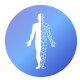 SizeWise | AI Body Measurement Flutter Mobile App - Mobile / Flutter