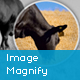 Image Magnify WordPress Plugin - WordPress / Add-ons