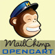 Mailchimp Custom Popup Subscription for OpenCart - Plugins / OpenCart