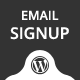 MailChimper PRO - WordPress MailChimp Signup Form Plugin - WordPress / Newsletters